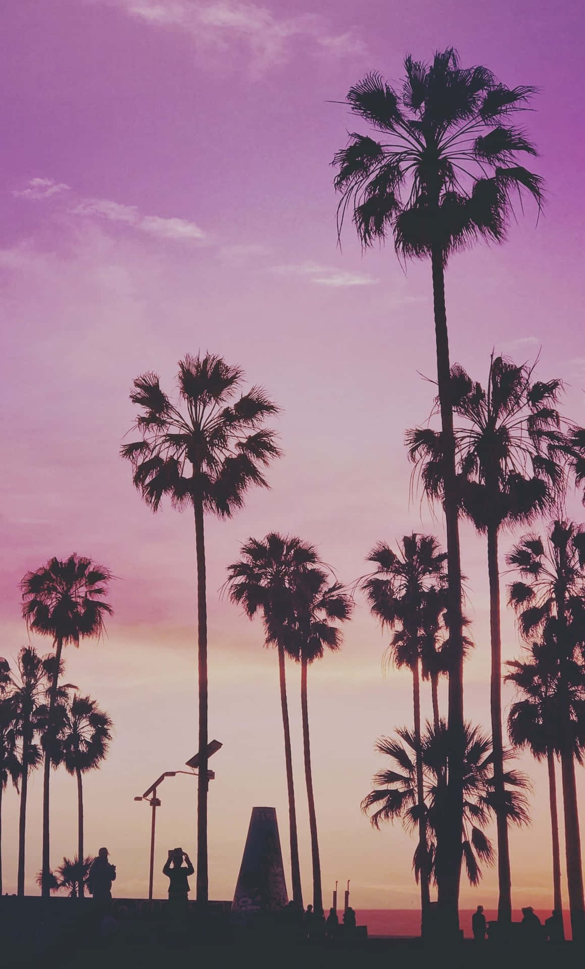 Miami Purple Sunset Iphone Background