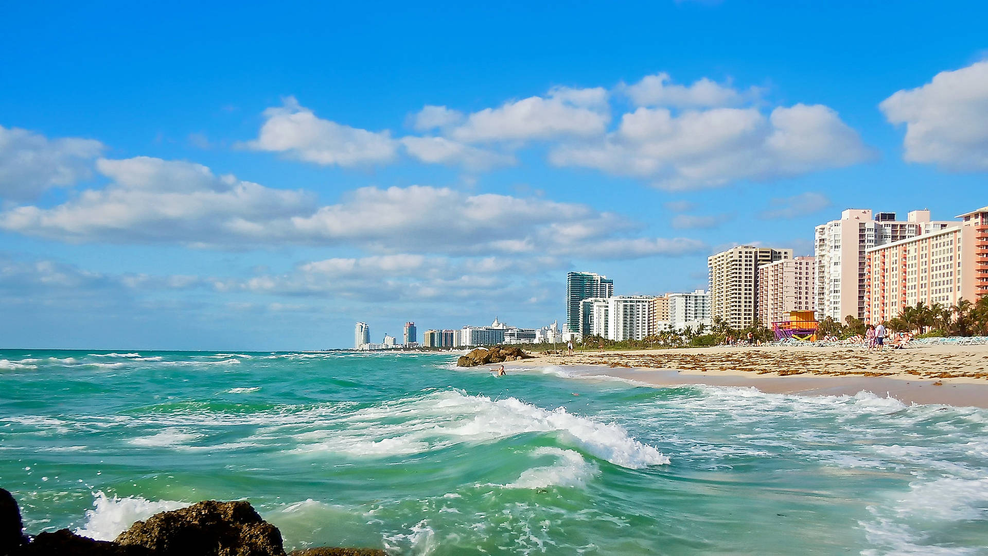Miami Shoreline Background