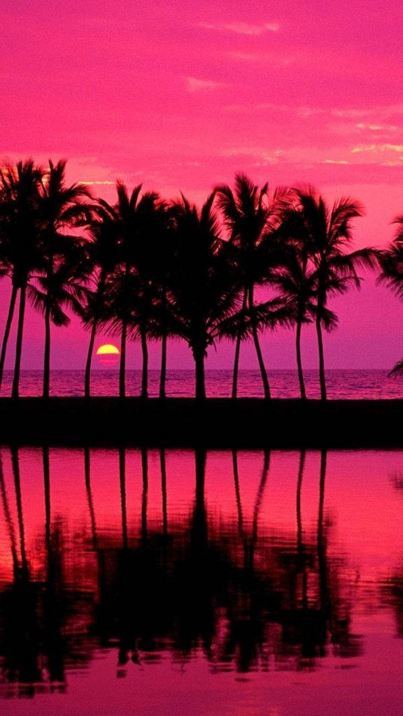 Miami Sunset Pink Iphone Background