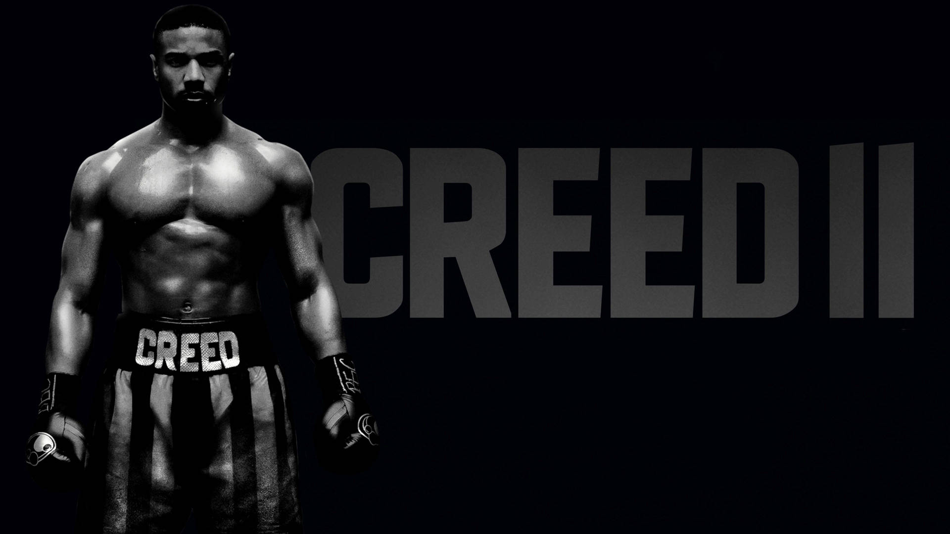 Michael B. Jordan In Creed 2 Background