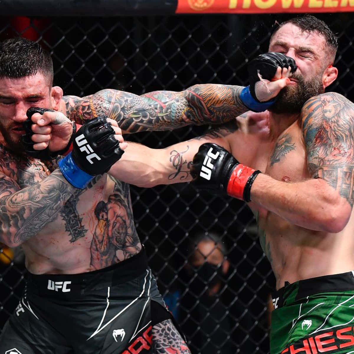 Michael Chiesa Sean Brady Match Background