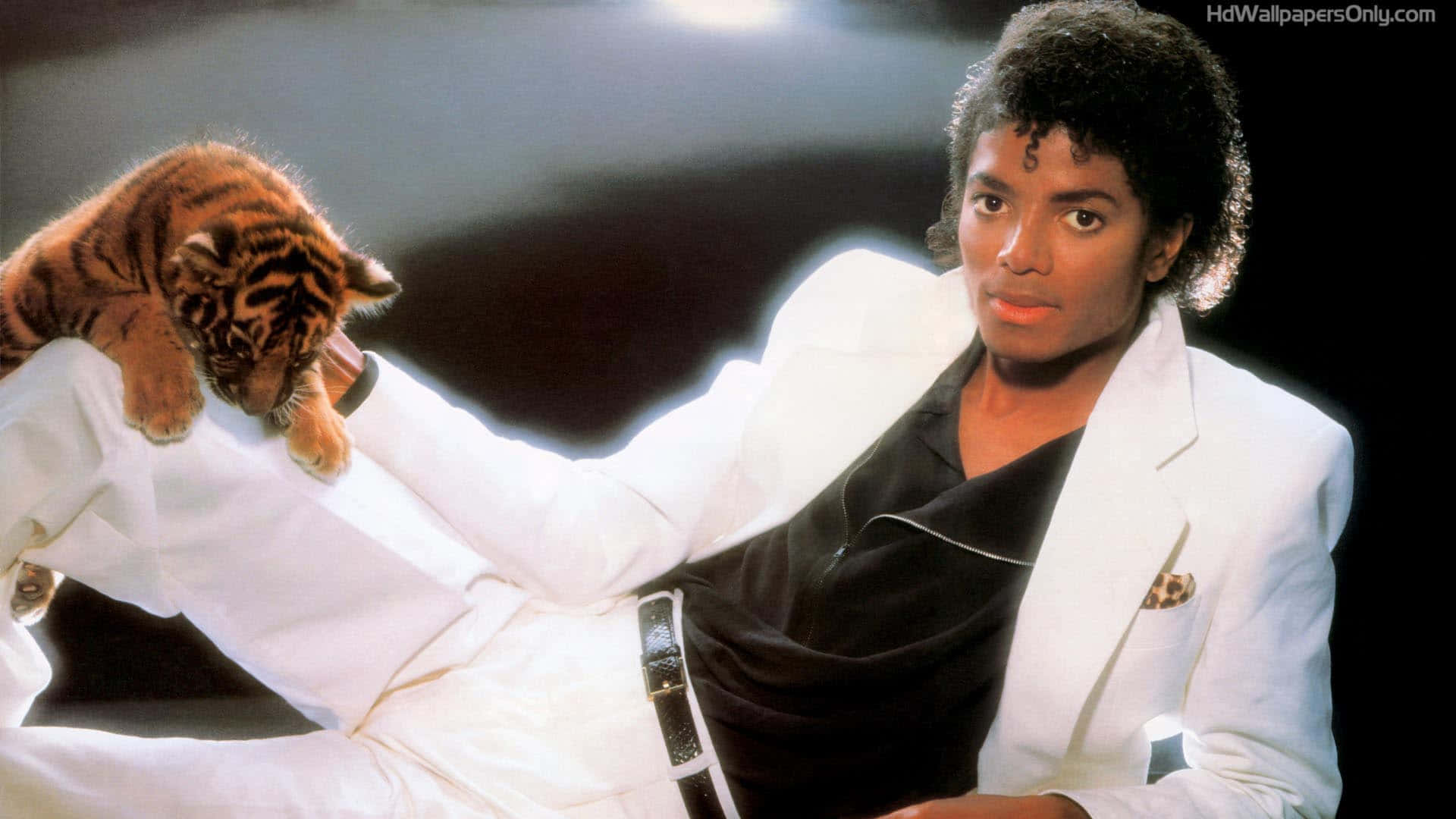 Michael Jackson In The Iconic Thriller Movie Background