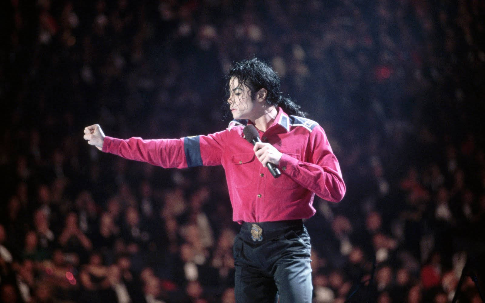 Michael Jackson Live Concert