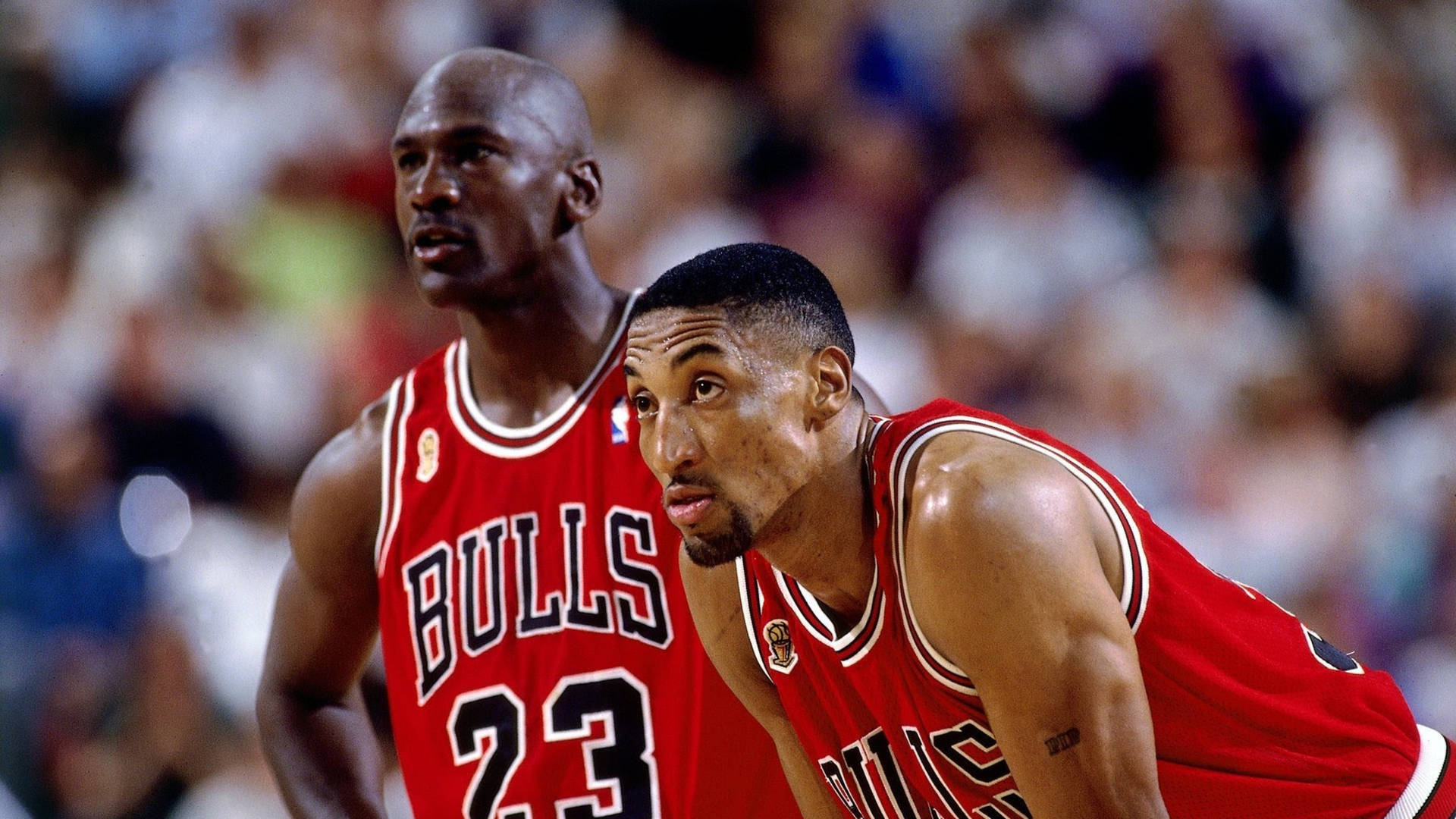 Michael Jordan And Scottie Pippen Background