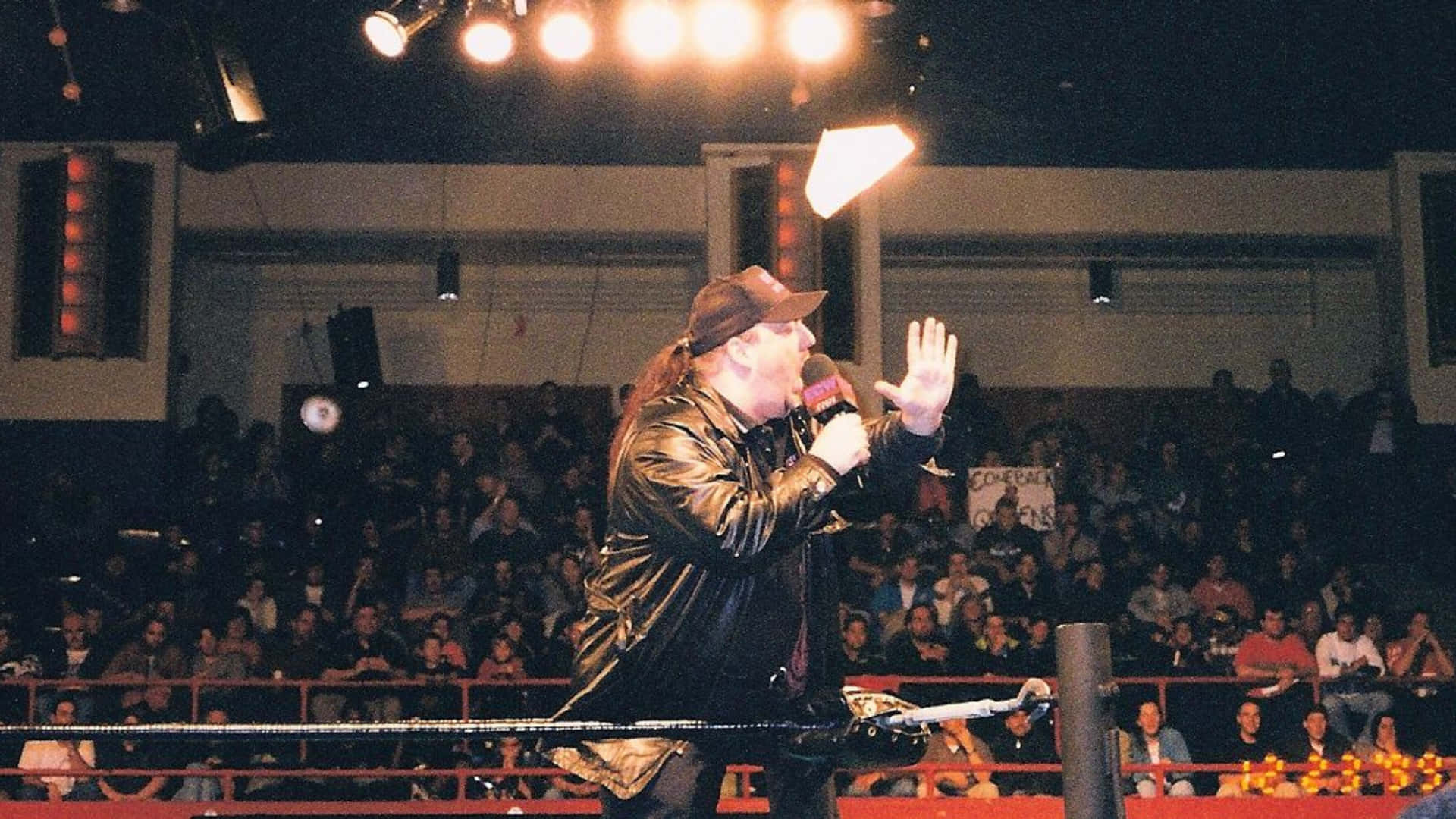Michael Lee Alfonso Aka Mike Awesome Background