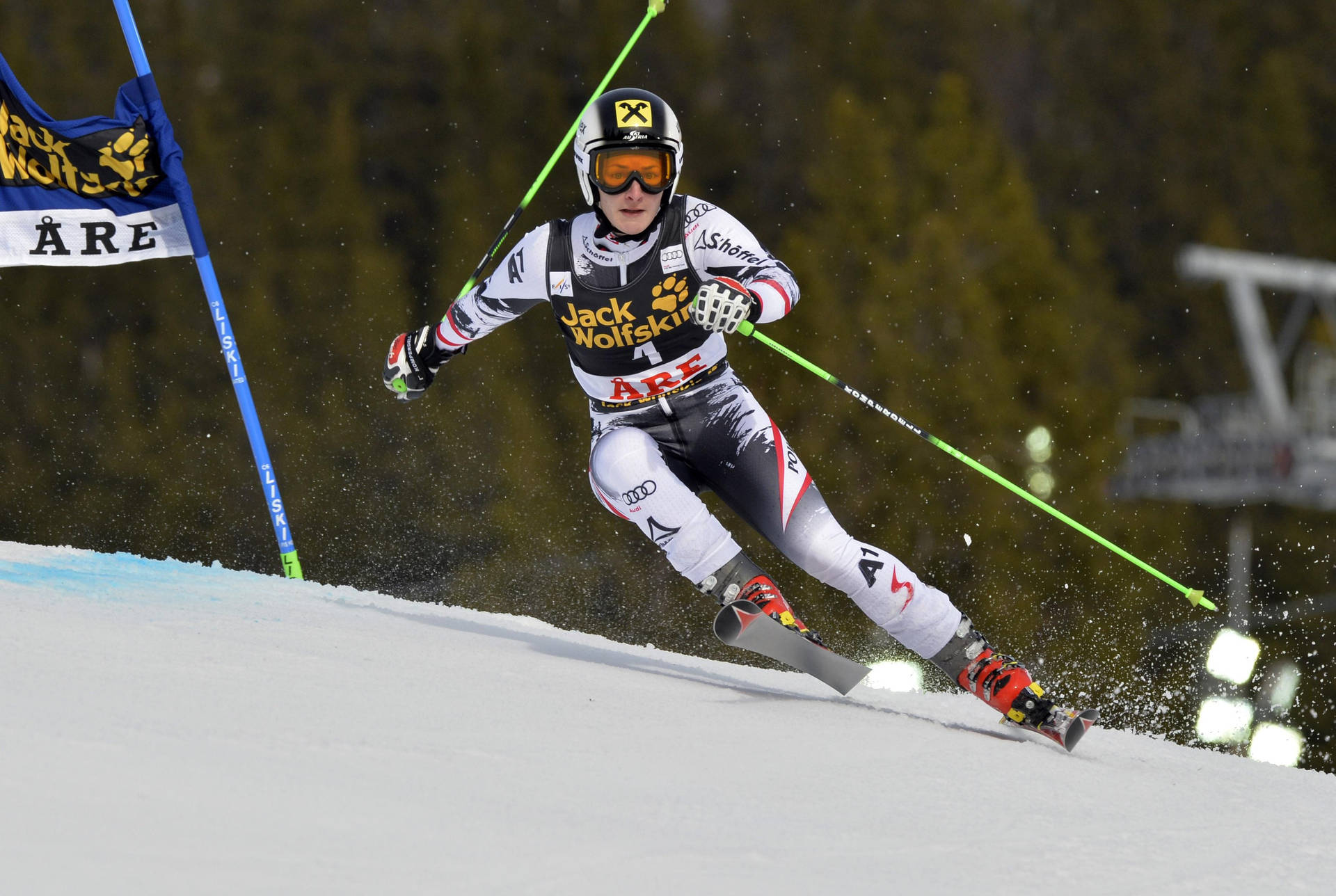 Michael Macedo Alpine Skiing Background