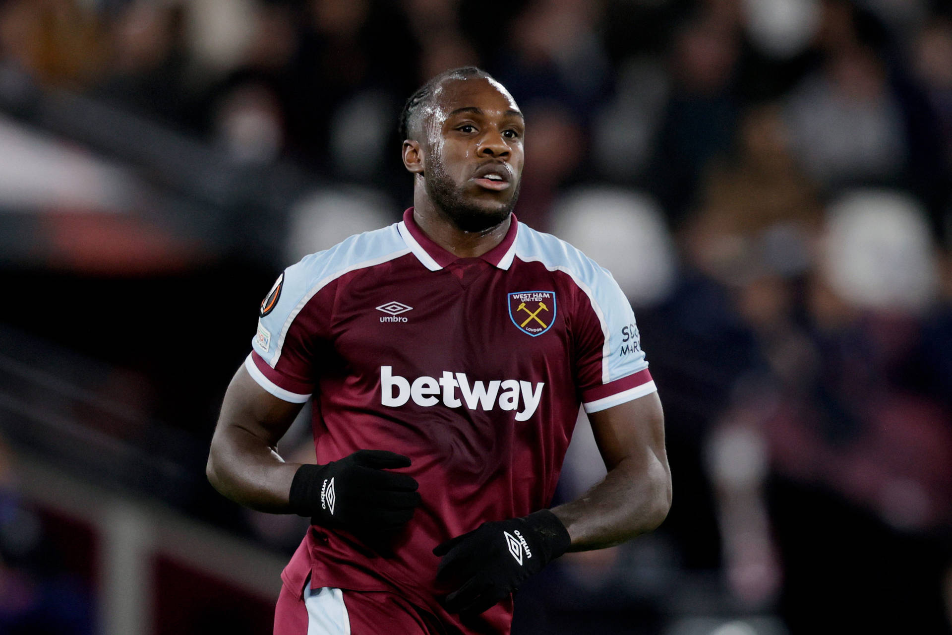 Michail Antonio Black Gloves Background