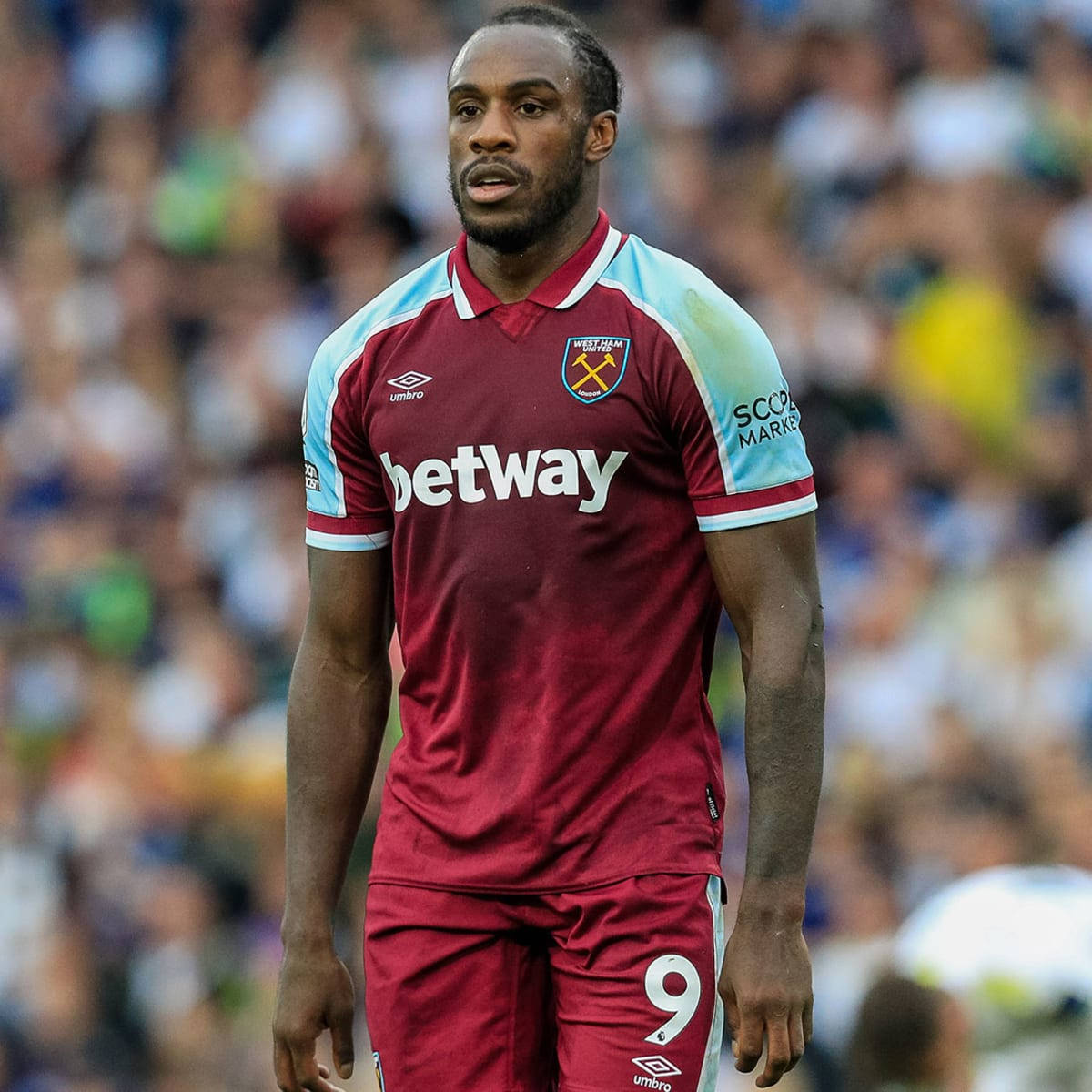 Michail Antonio - Fierce Determination On The Field Background