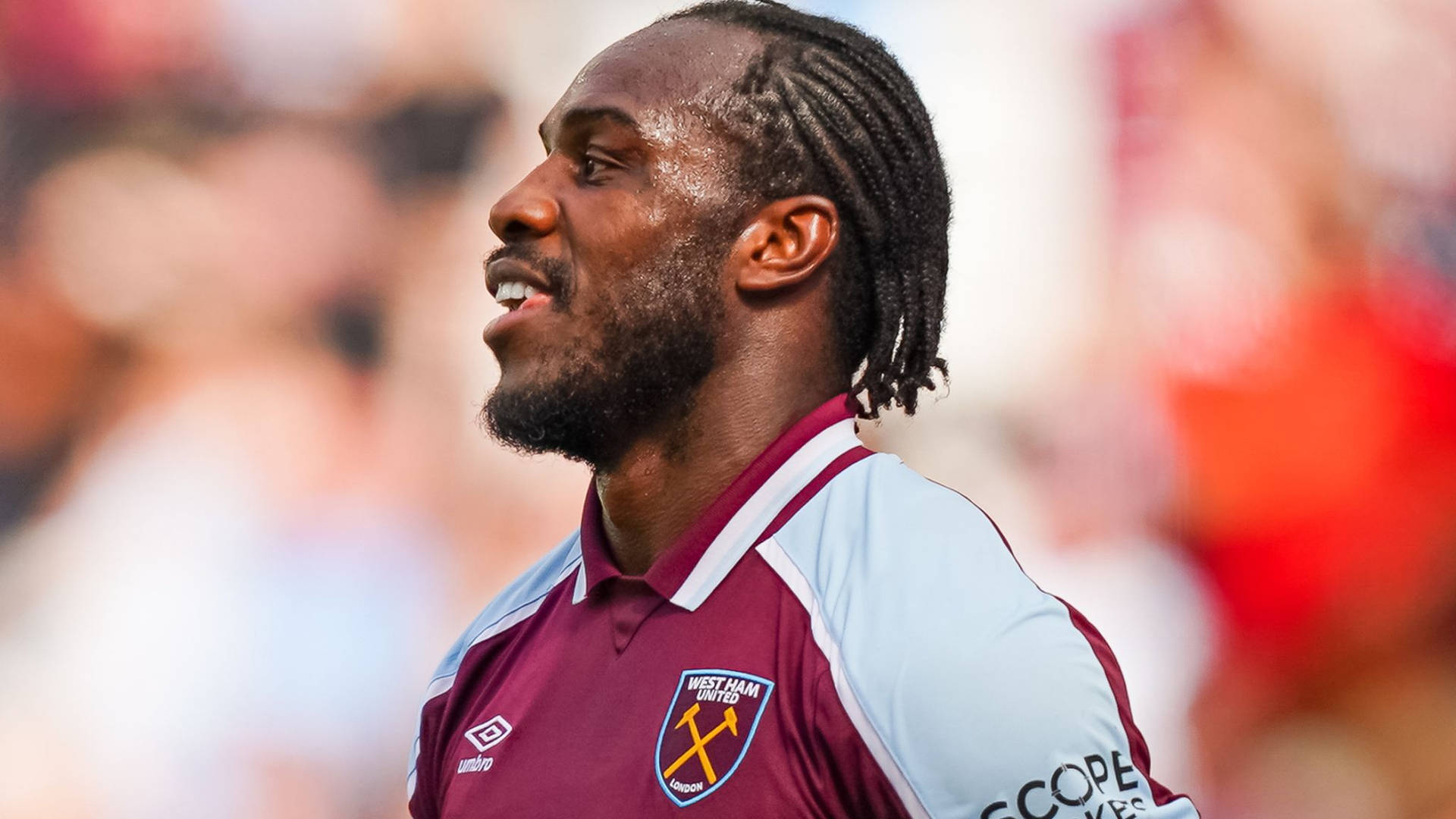 Michail Antonio Hair Locks