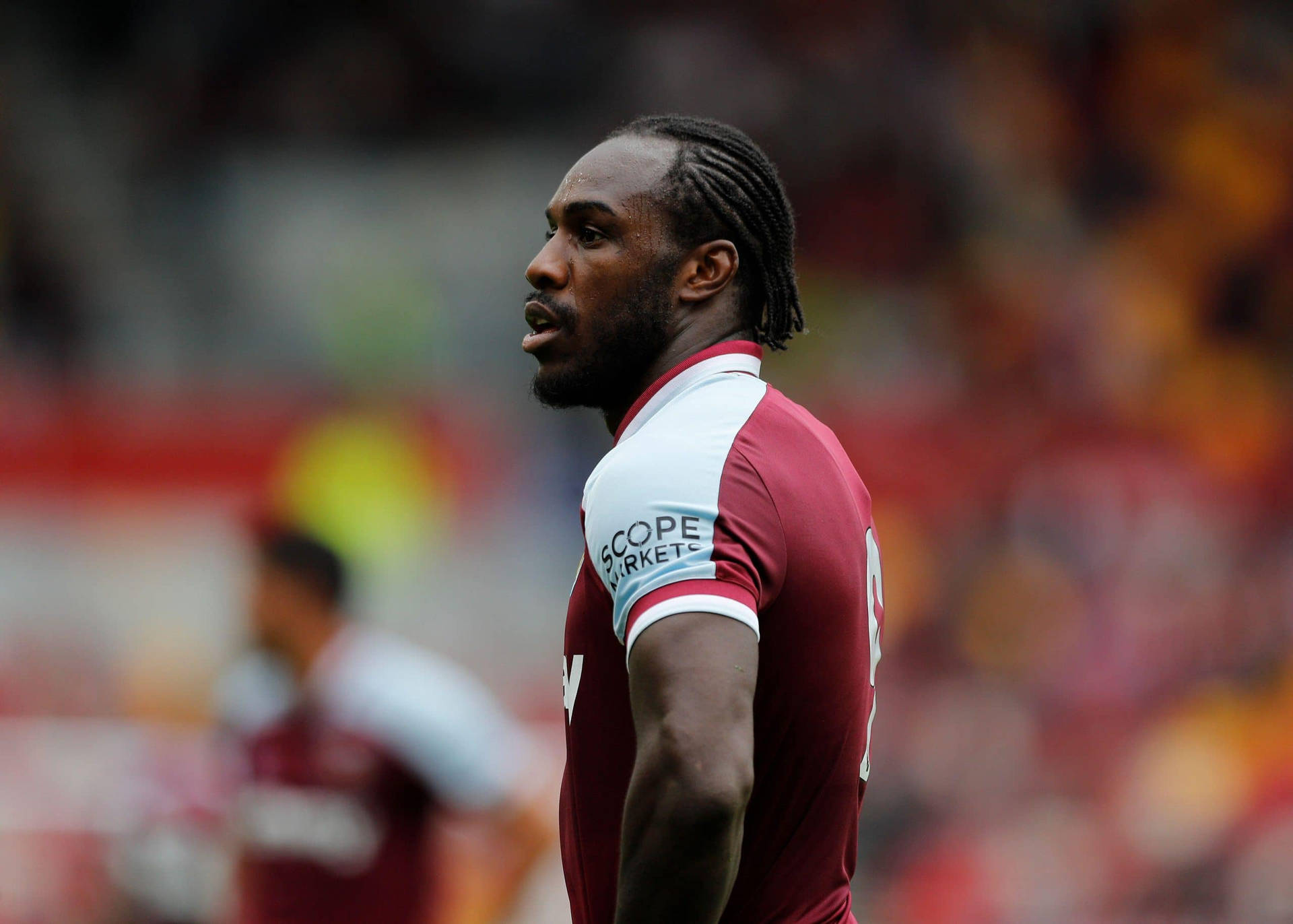 Michail Antonio Looking Left Background