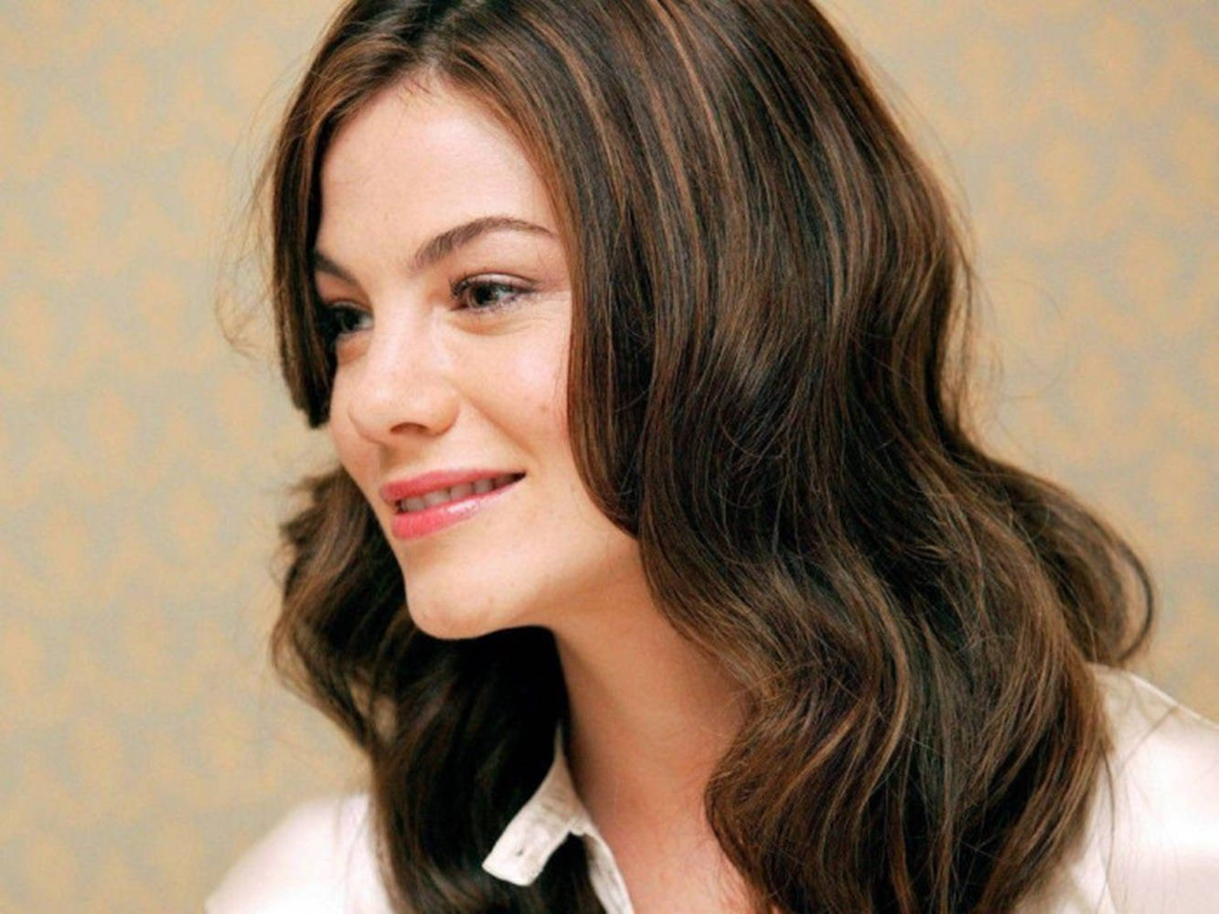 Michelle Monaghan Side Profile Background