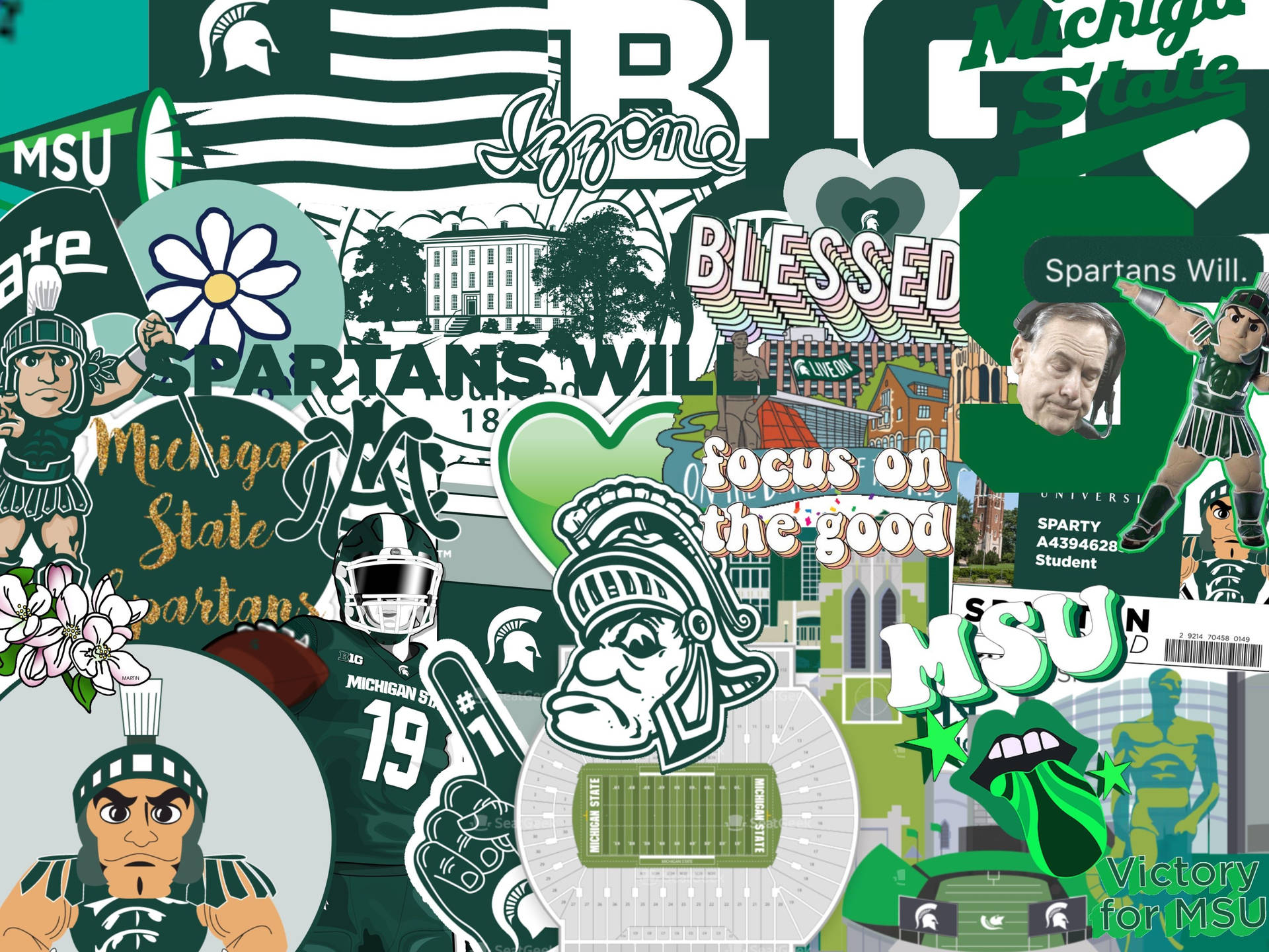 Michigan State University Collage