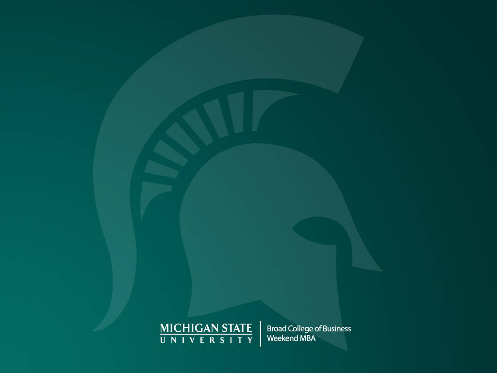 Michigan State University College Of Business Background