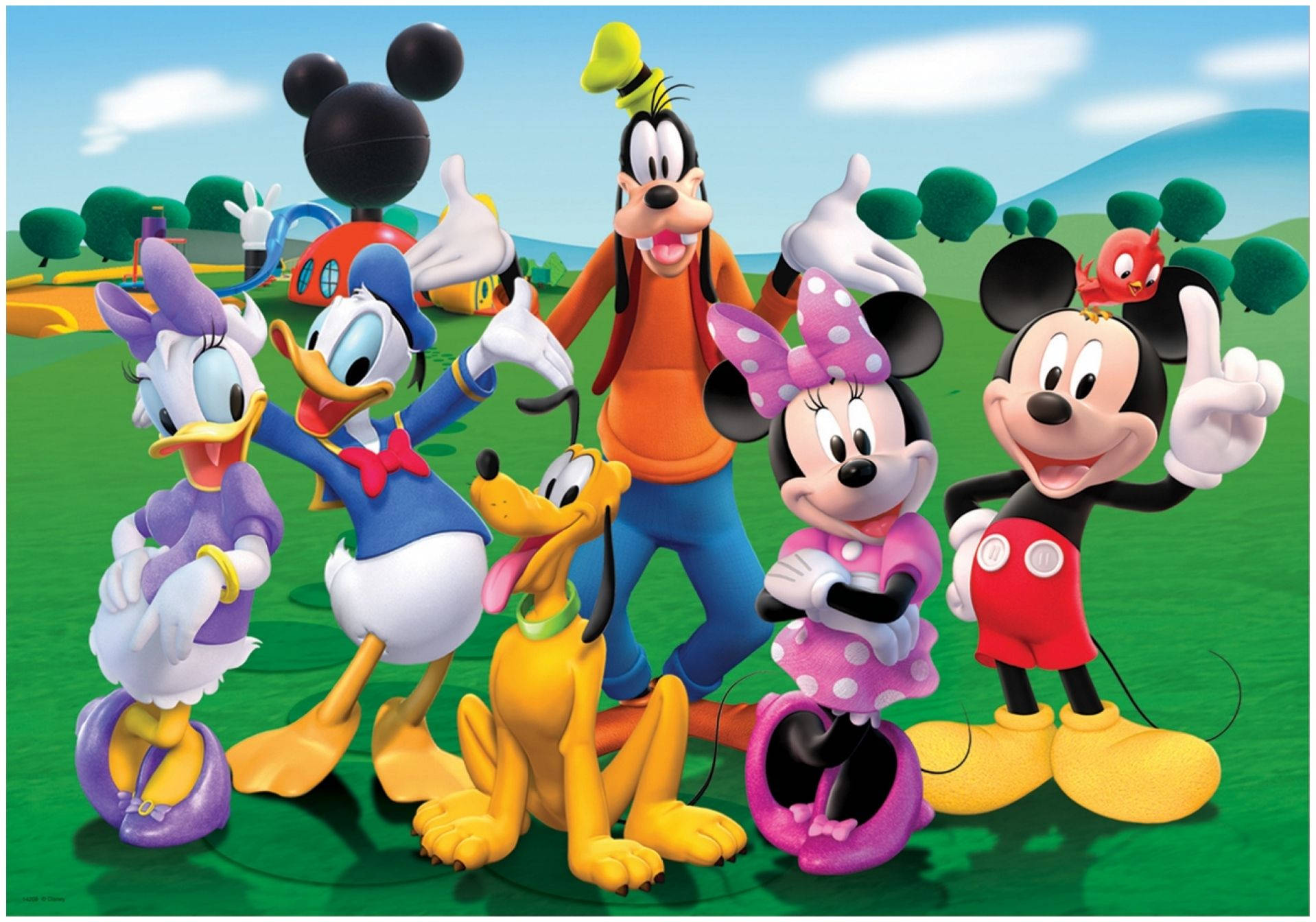 Mickey Mouse Disney Family