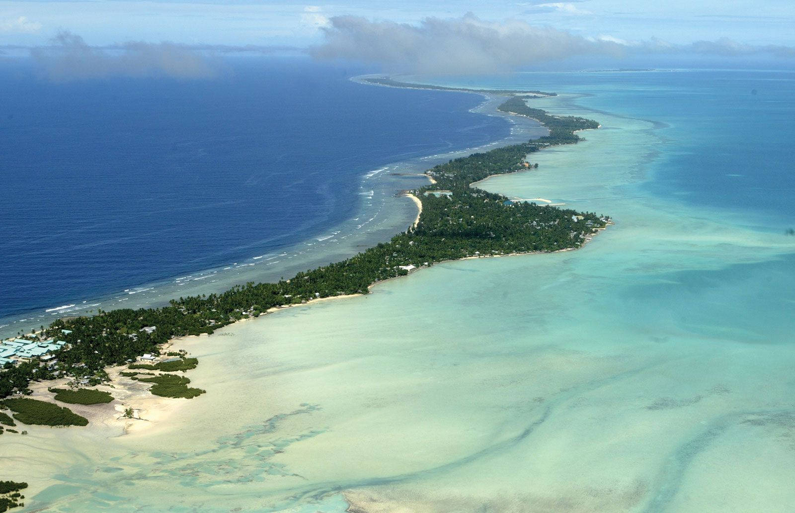 Micronesia Long Island Trees Background