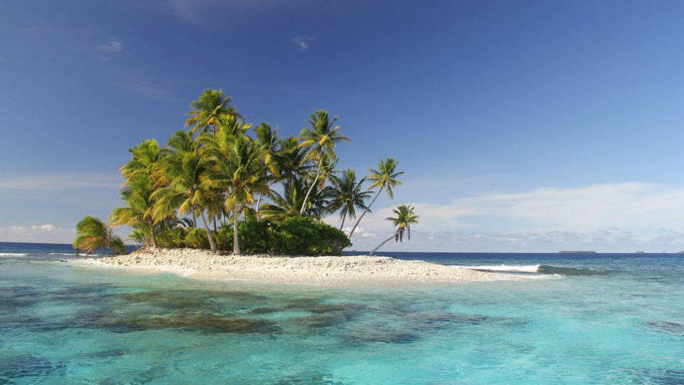 Micronesia Small Island Coconut Trees Background