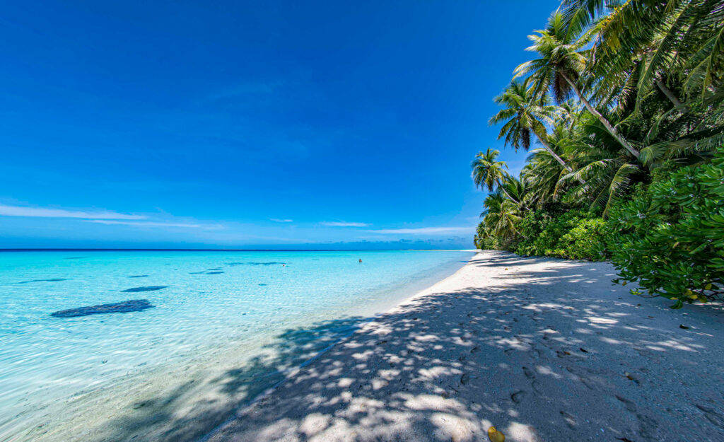 Micronesia White Sandy Beach Background