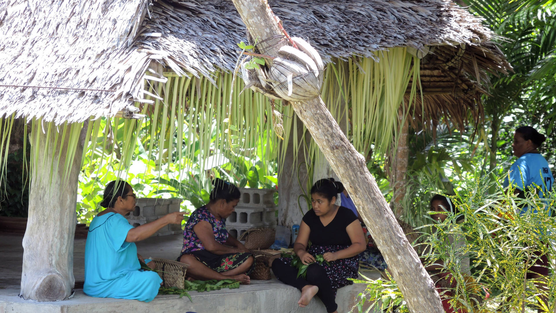 Micronesia Women Talking Hut Background