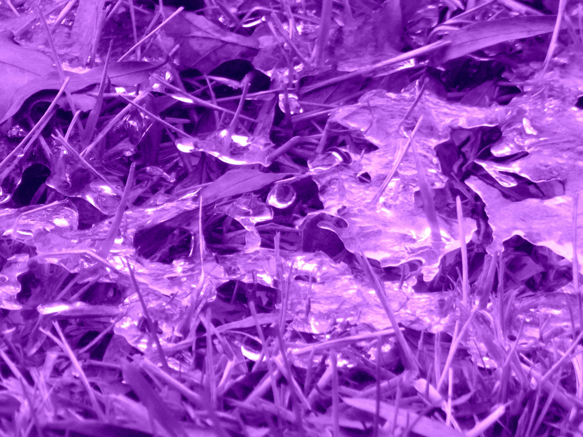 Microscopic Purple Ice Background