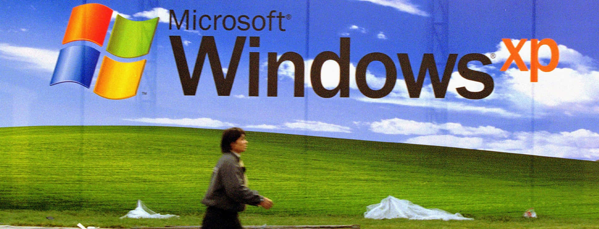 Microsoft Windows Xp Logo