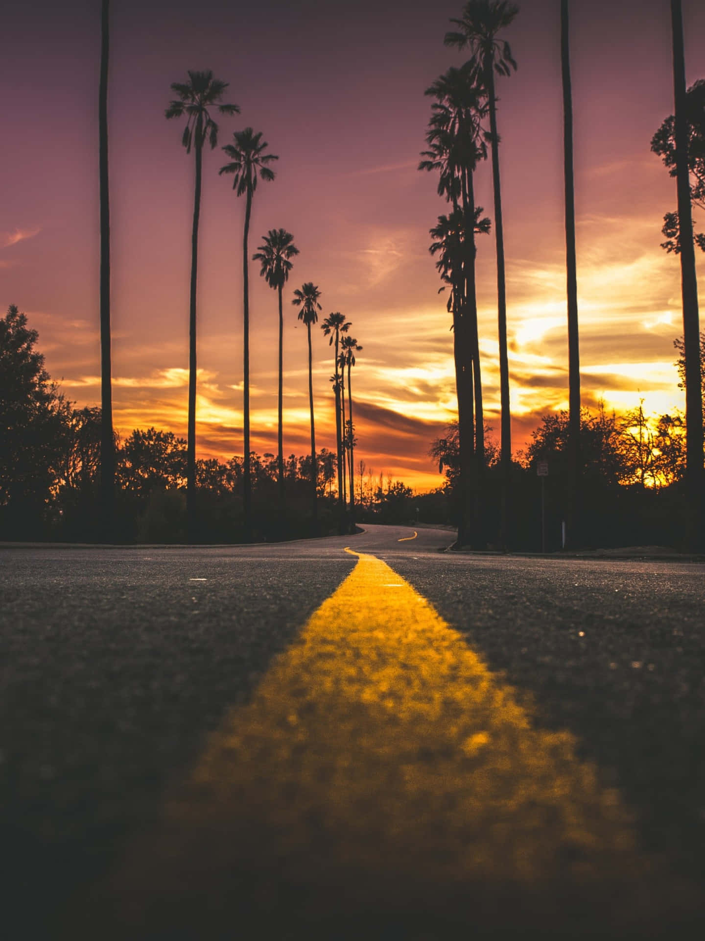 Middle Of Road With Evening Sky Background