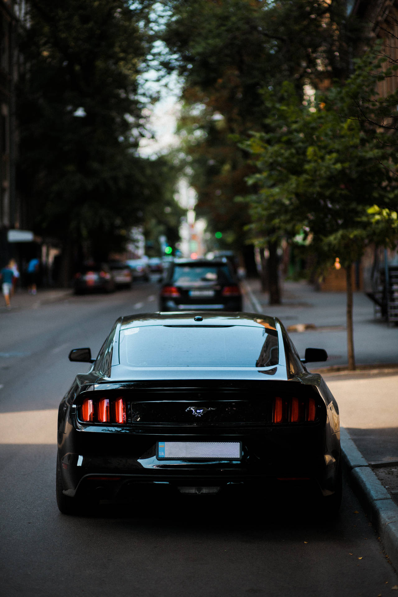 Midnight Black Ford Mustang Gt Background