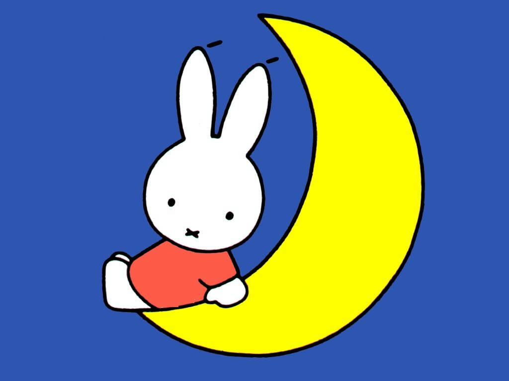 Miffy On The Moon
