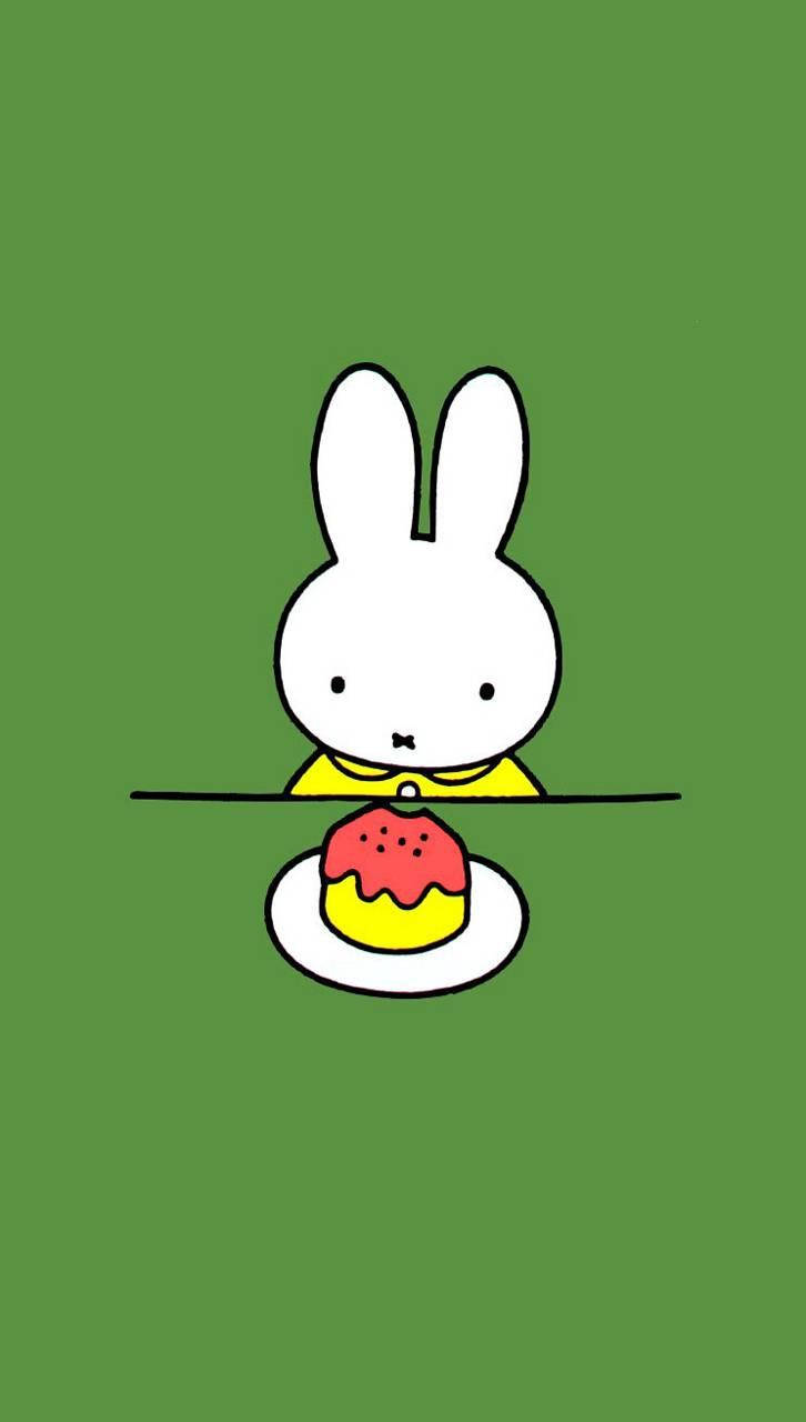 Miffy With Cake Background