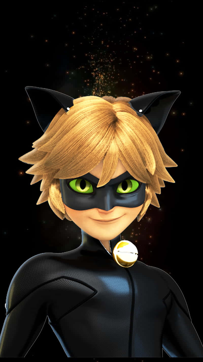 Mighty Hero Cute Cat Noir Background