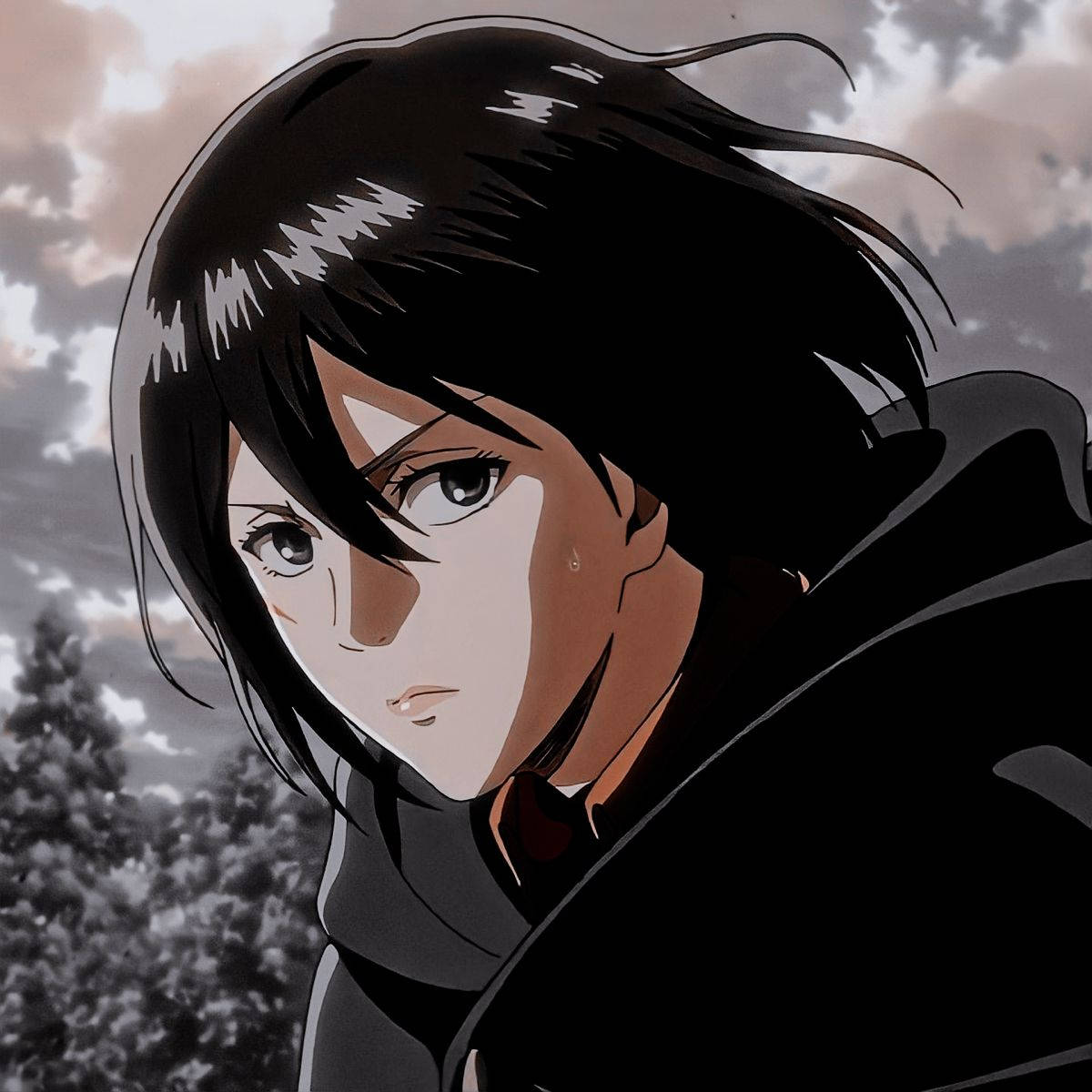 Mikasa Ackerman Face Closeup Background