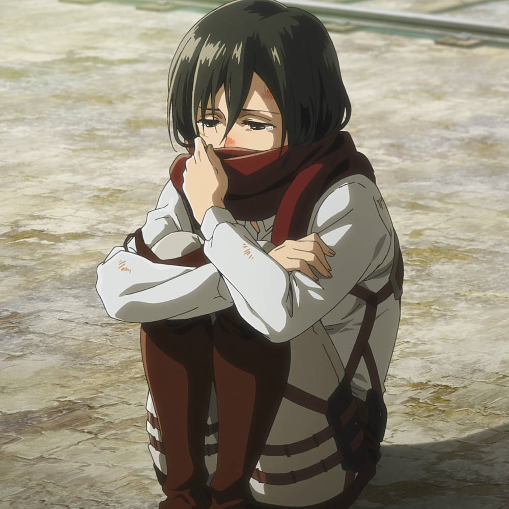 Mikasa Ackerman Sad Pfp