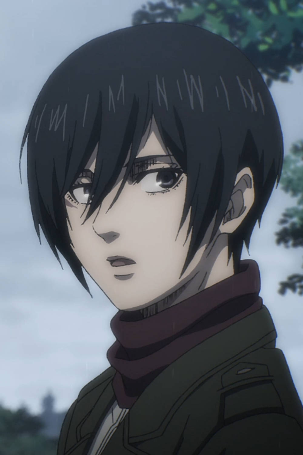 Mikasa Ackerman Short Haired Background