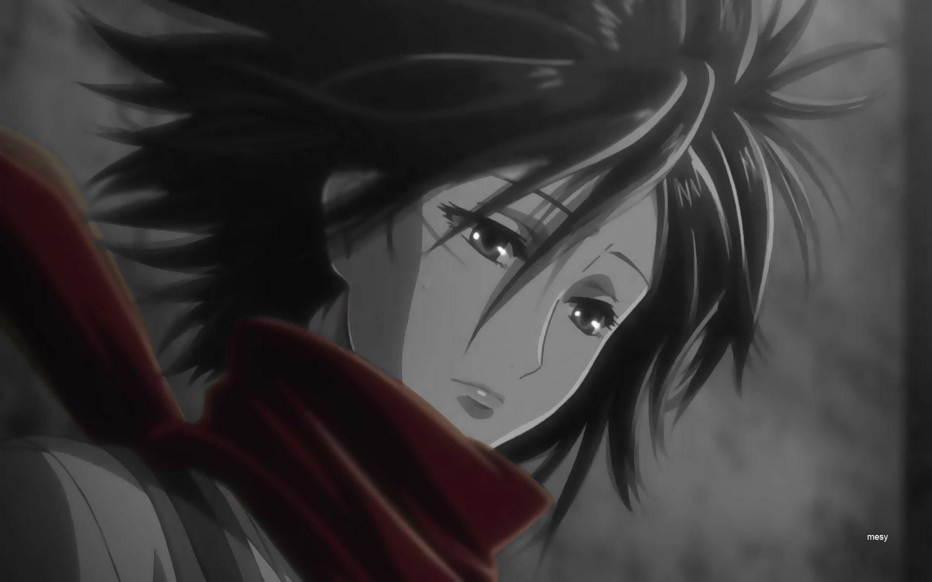 Mikasa Despaired Face Background