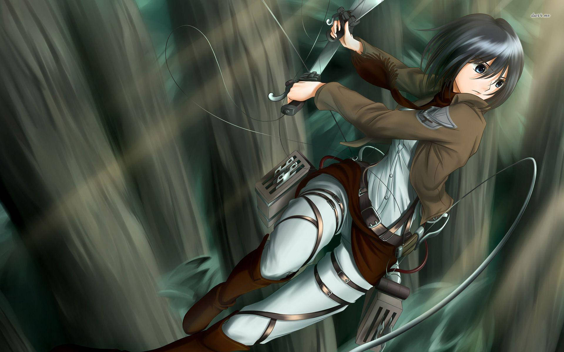 Mikasa Fight Training Background