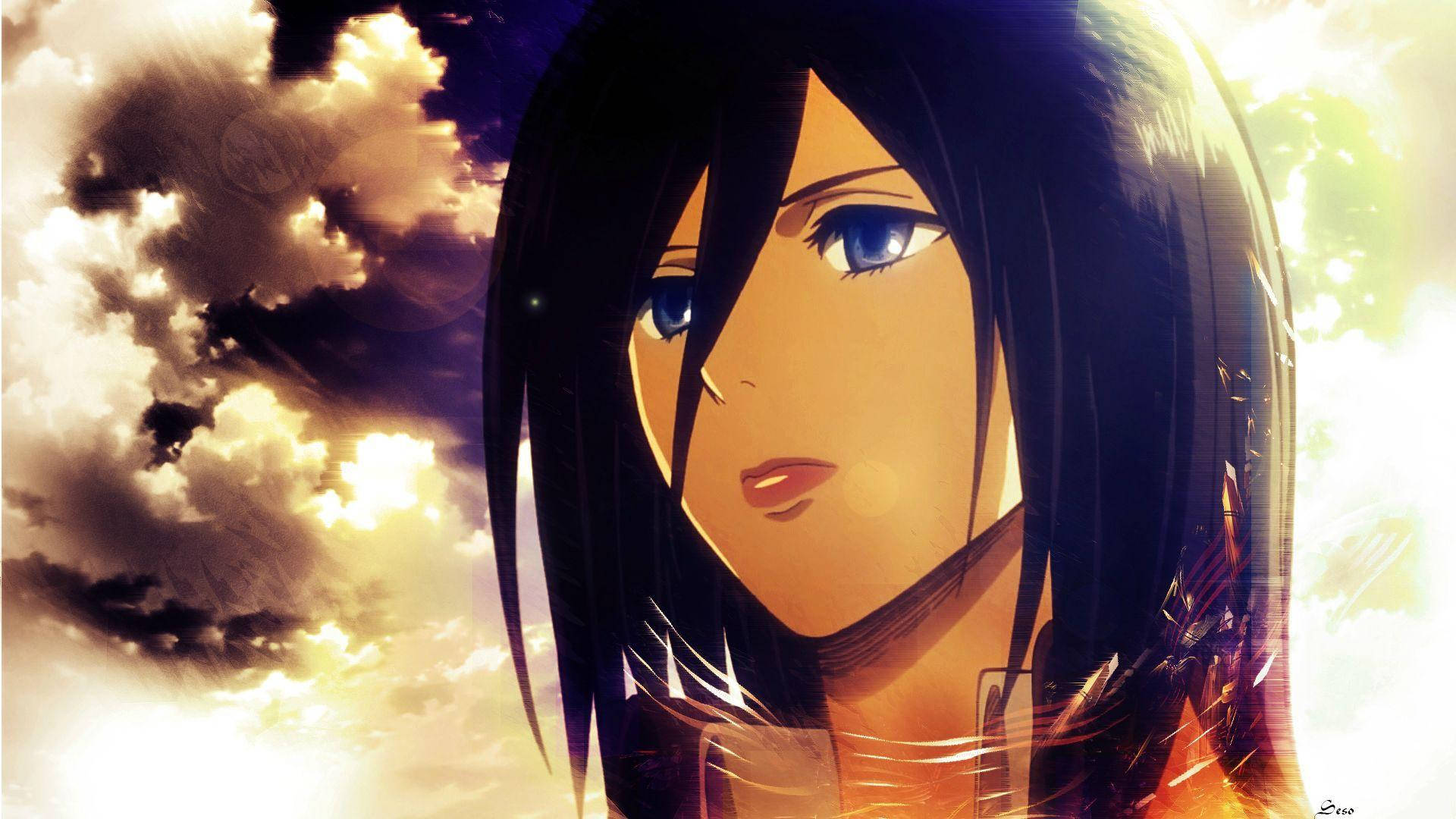 Mikasa Long Hair Background