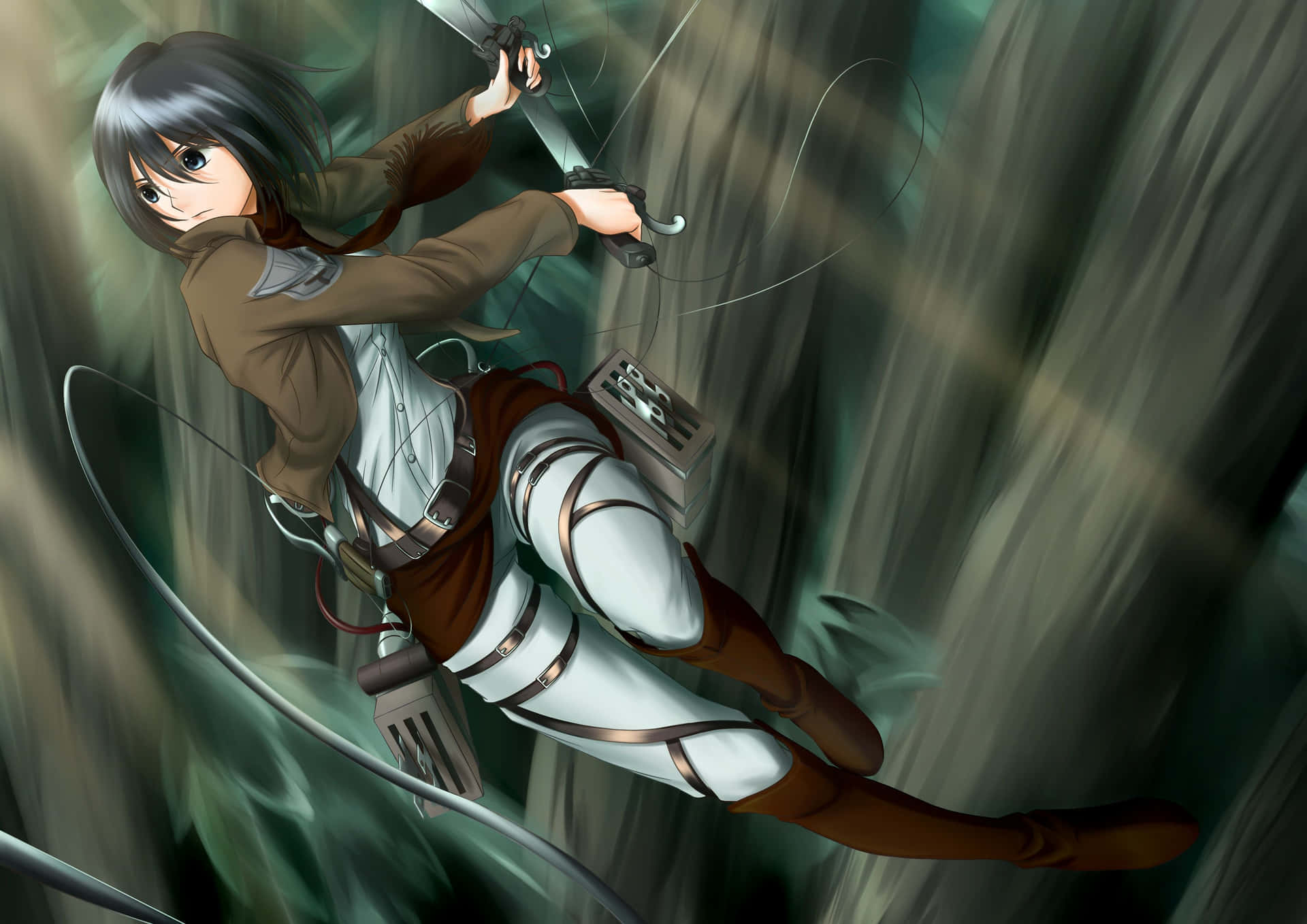 Mikasa Pfp Cut