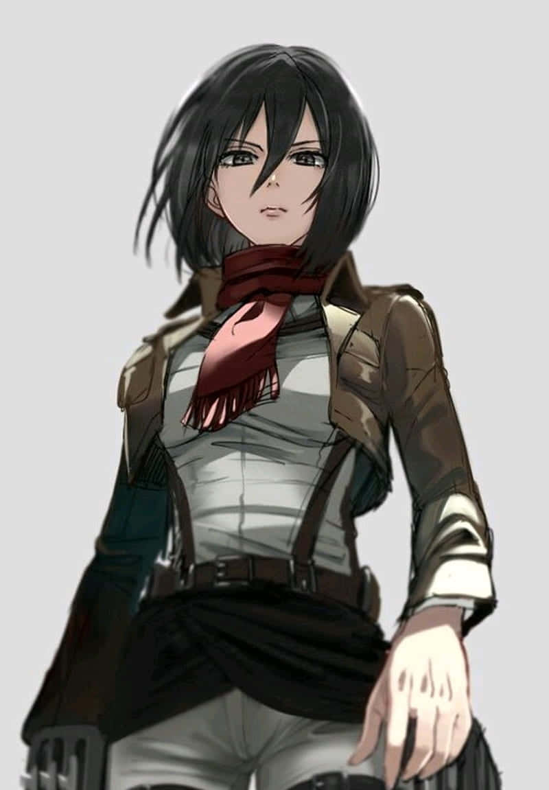 Mikasa Pfp Look Down