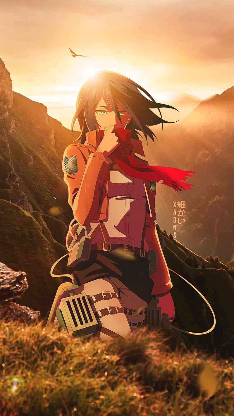 Mikasa Pfp Sunset