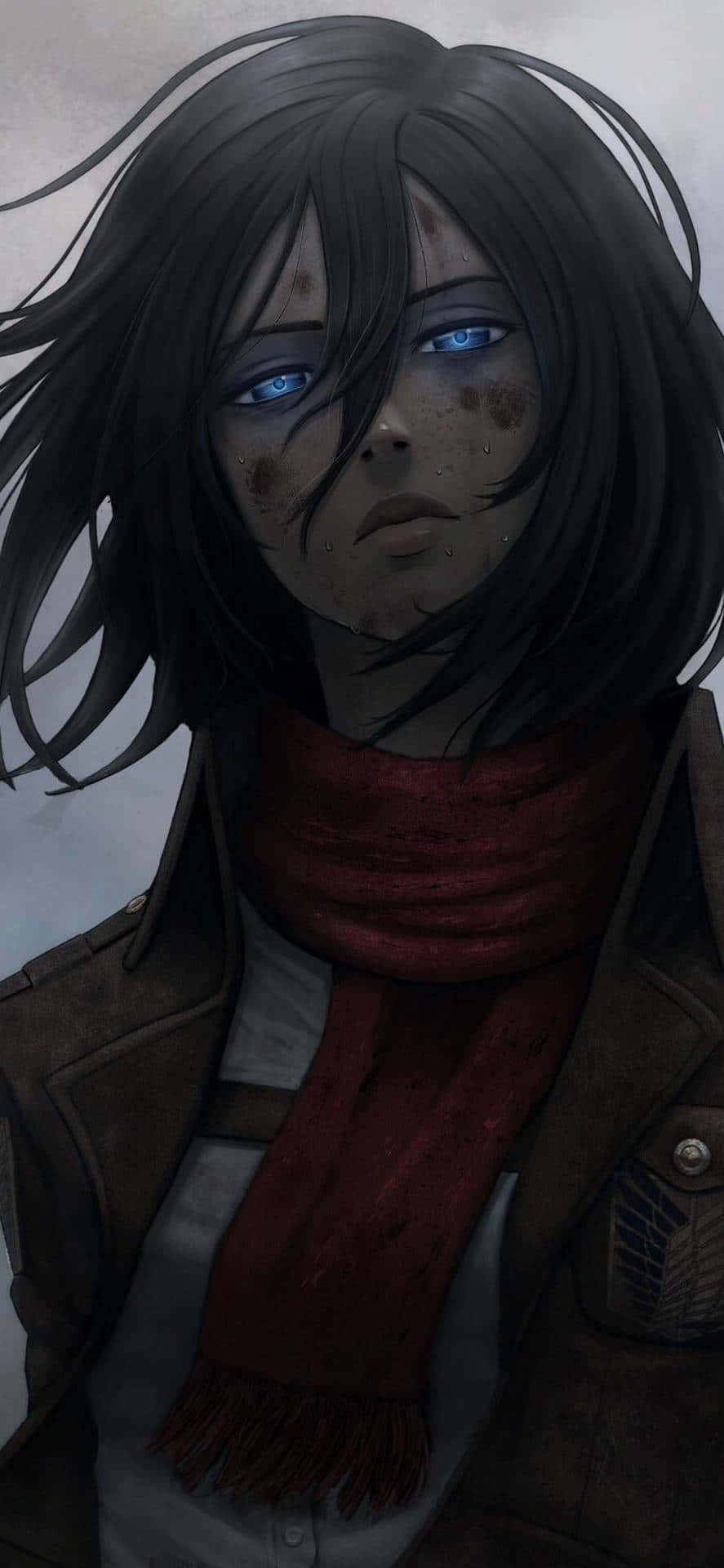 Mikasa Season4 Portrait