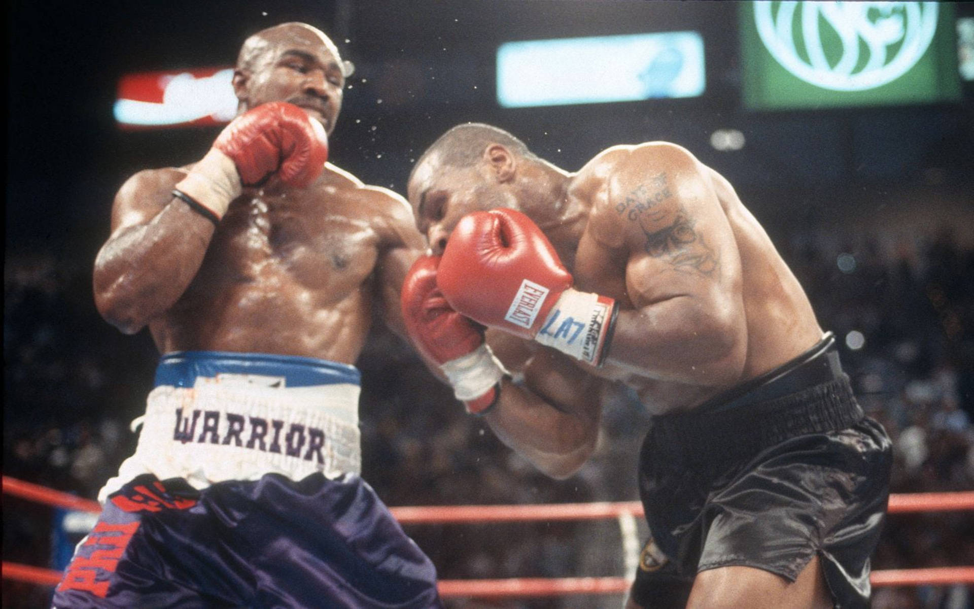 Mike Tyson Vs Evander Holyfield Snapshot