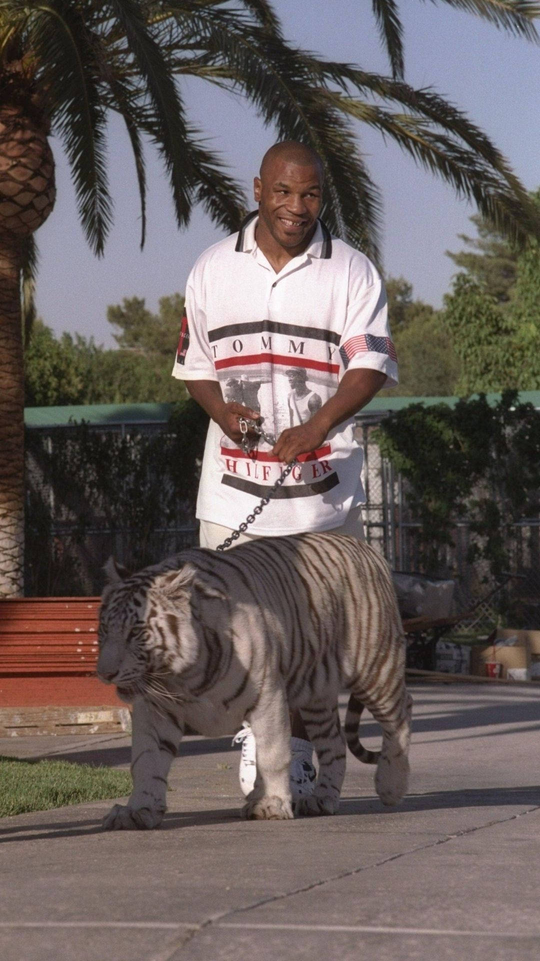 Mike Tyson With His Tiger Background