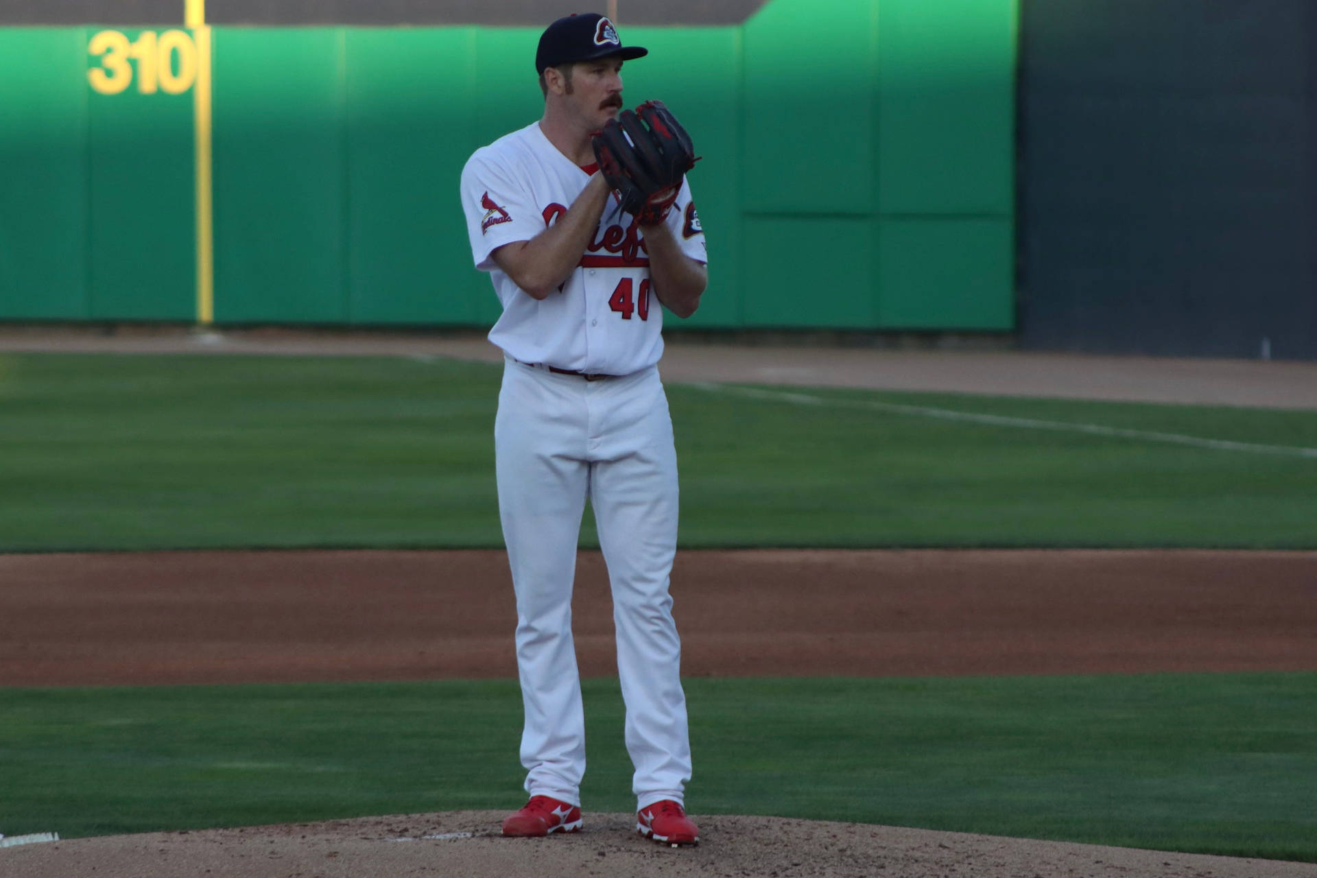 Miles Mikolas Holding Ball With Glove Background