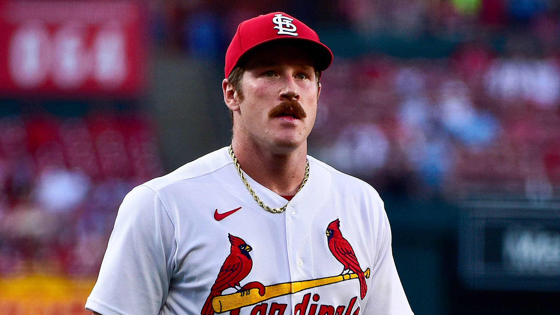 Miles Mikolas Looking Far Background