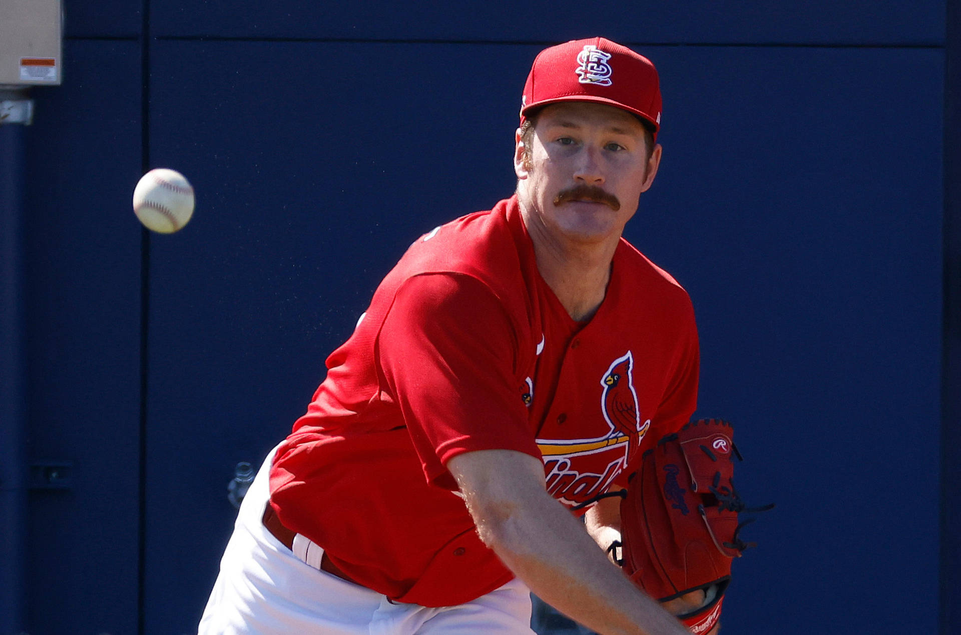 Miles Mikolas With Incoming Baseball Background