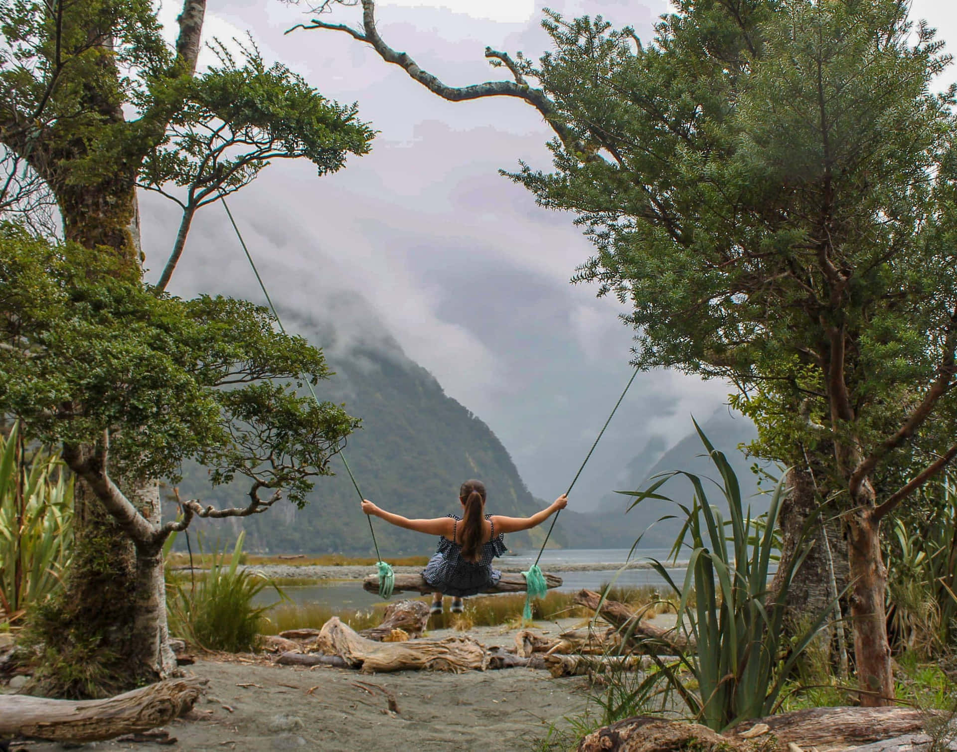 Milford Sound Tree Swing