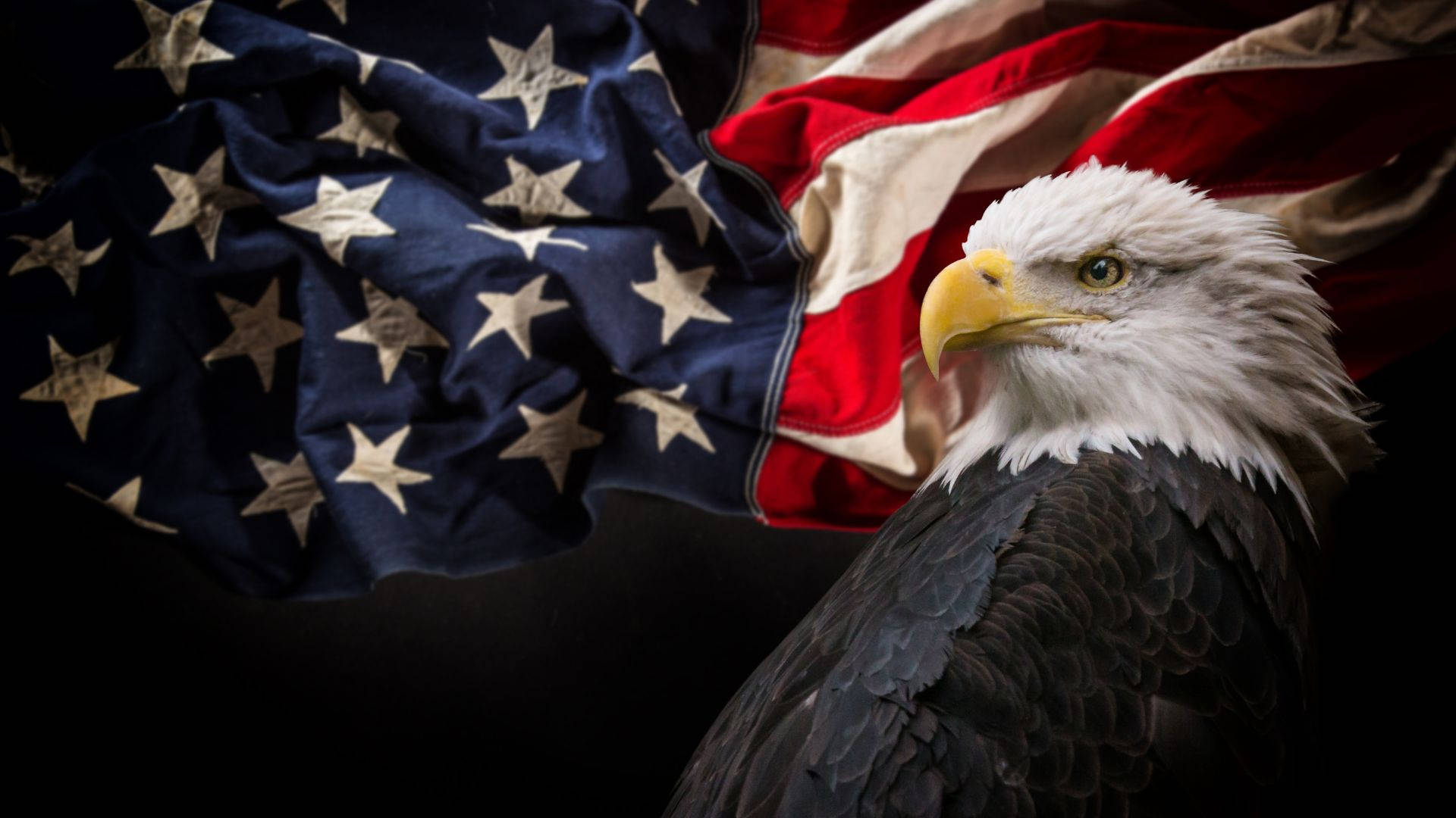 Military American Flag With Eagle