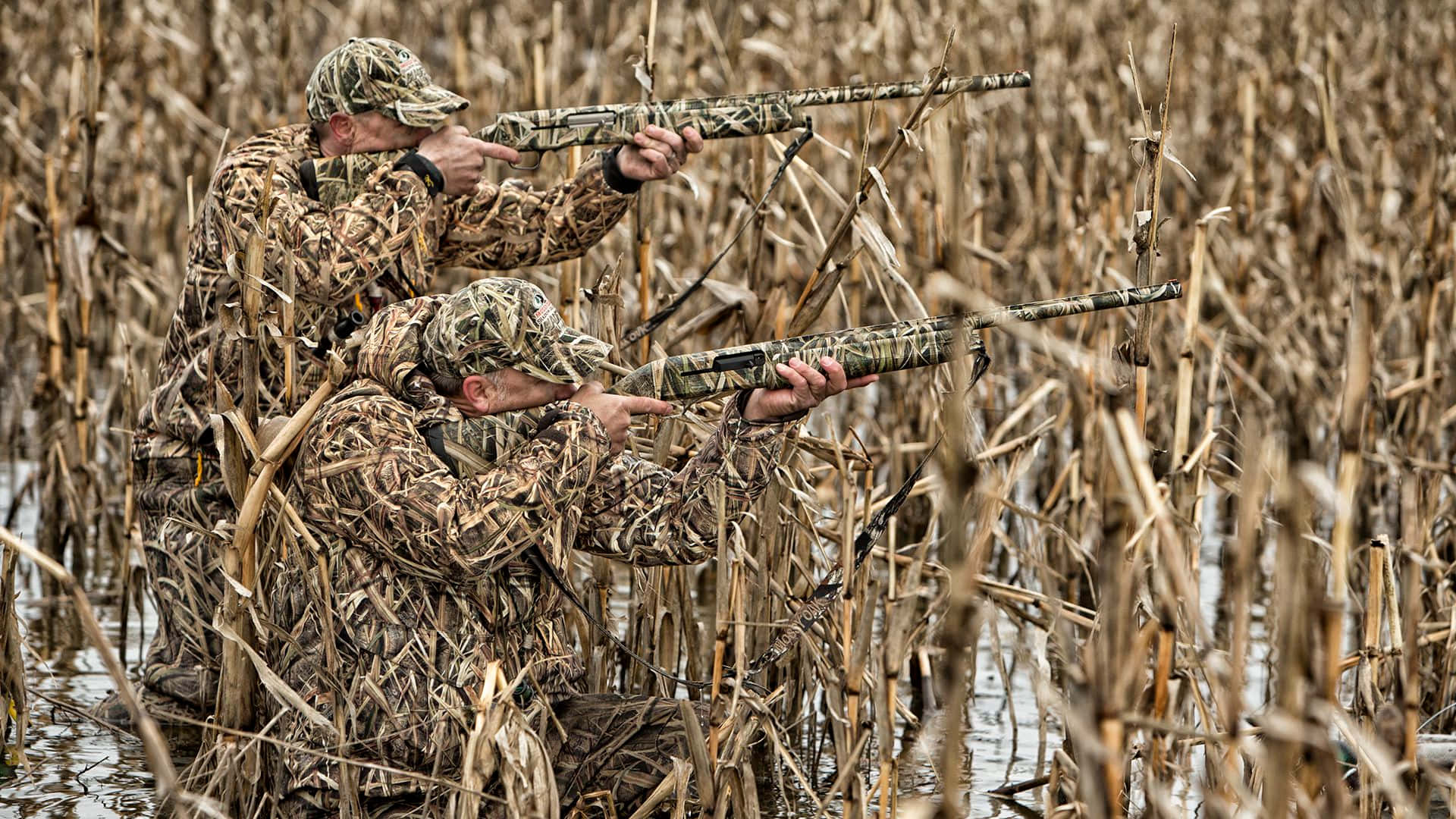 Military In Hunting Camo At Corn Field Background