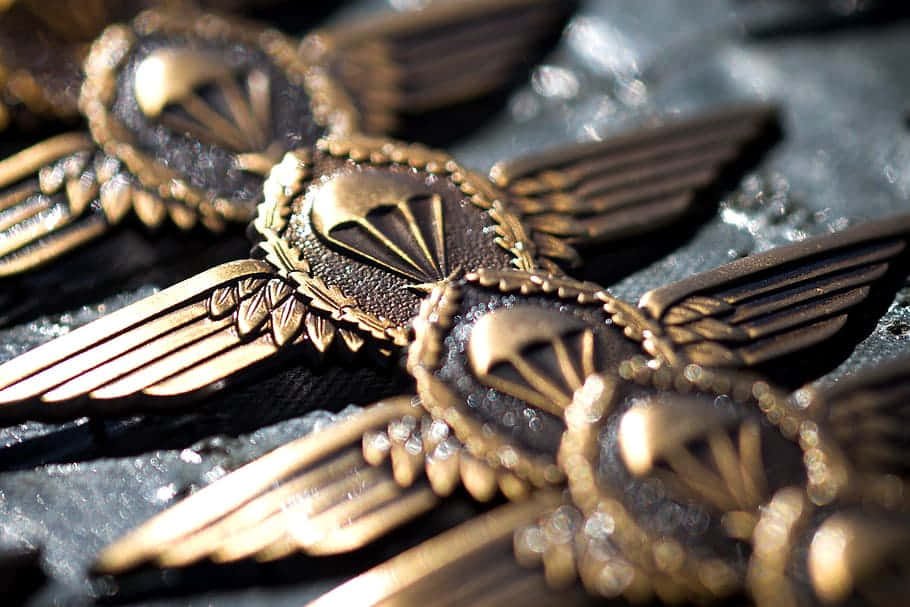 Military Pilot Wings Badges Background