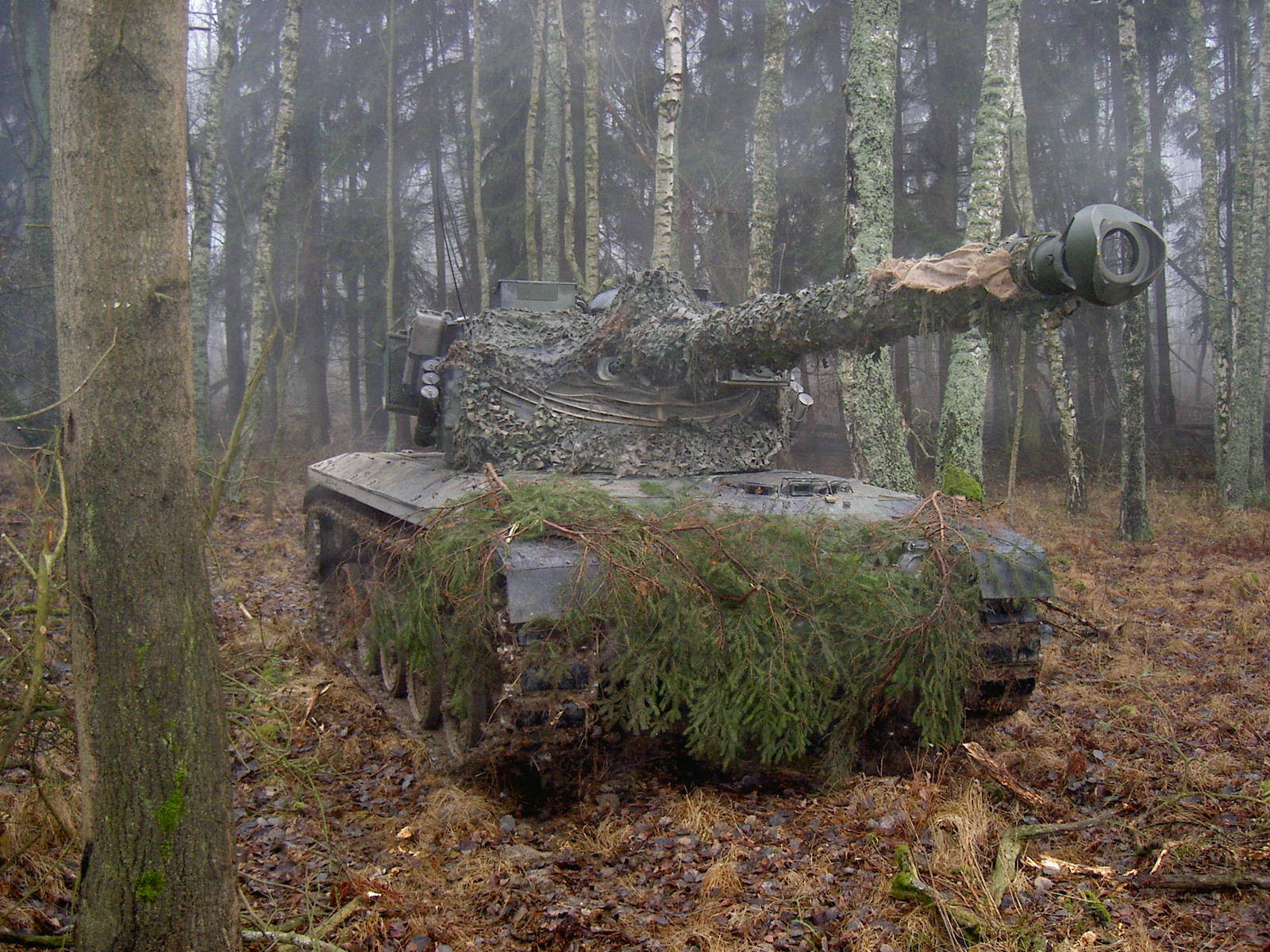 Military Tanks In The Woods Background