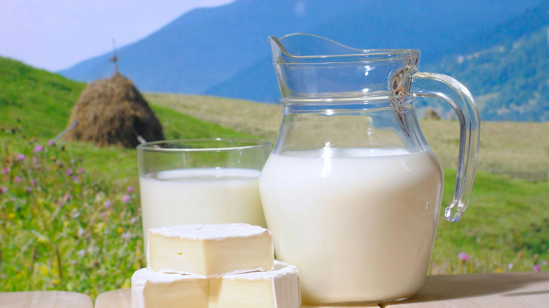 Milk And Cheese At A Pasture Background